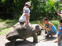 /album/fotogaleria-seychely-zajazd-vy-a-my/seychely-zajazd-93-jpg/